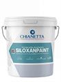 SILOXANPAINT